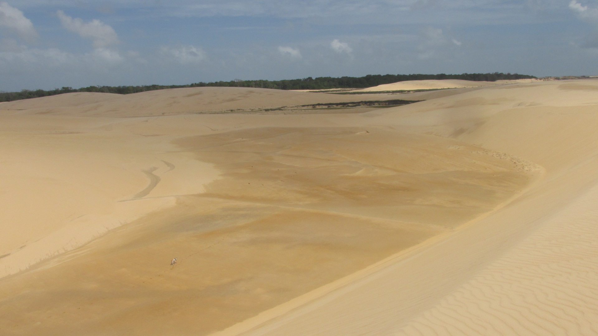 Imagem de referência de Paulino Neves, descrito nos dados abertos como município brasileiro do estado do Maranhão
