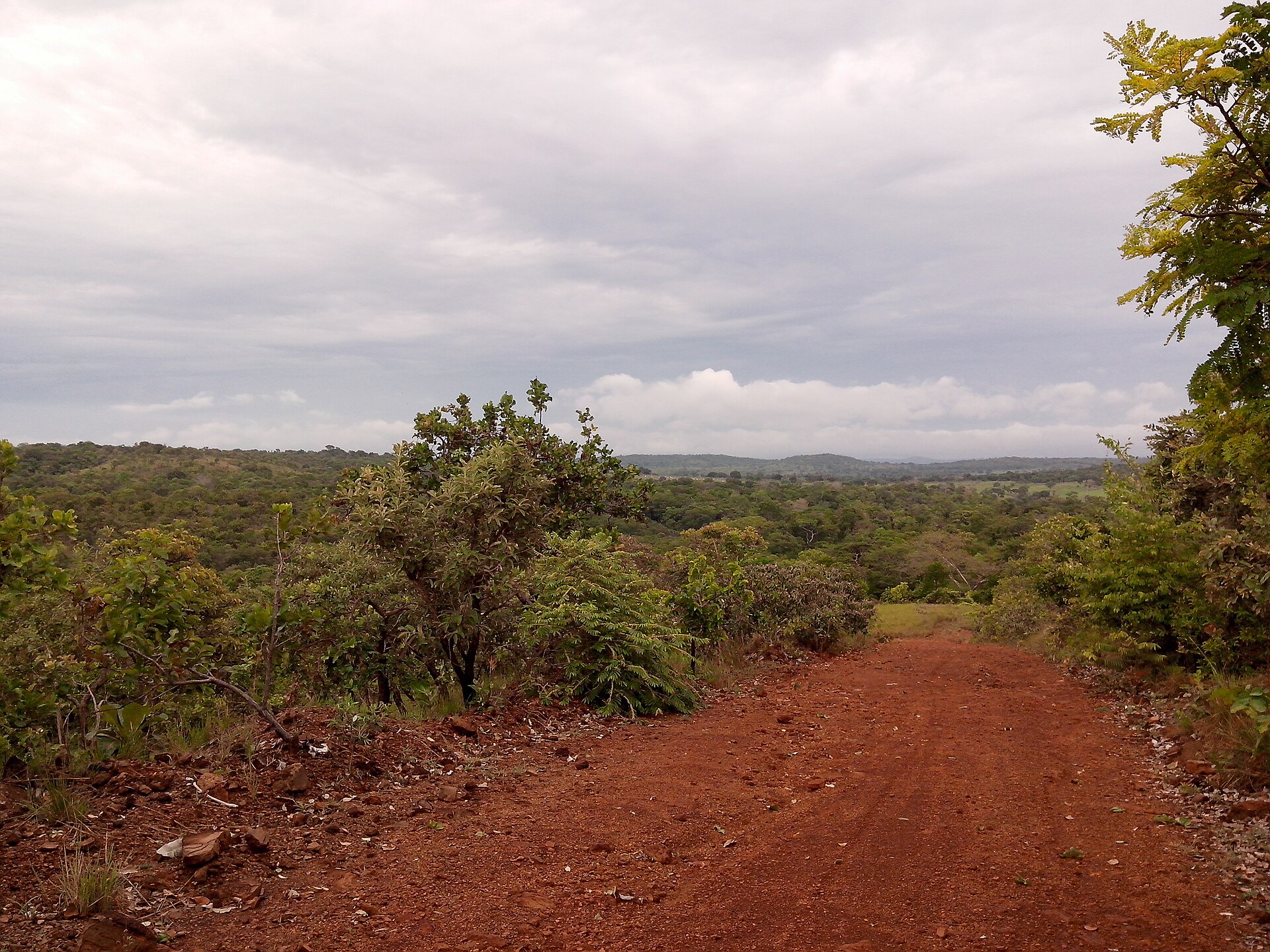 Imagem de referência de Guaraí, descrito nos dados abertos como município brasileiro do estado do Tocantins