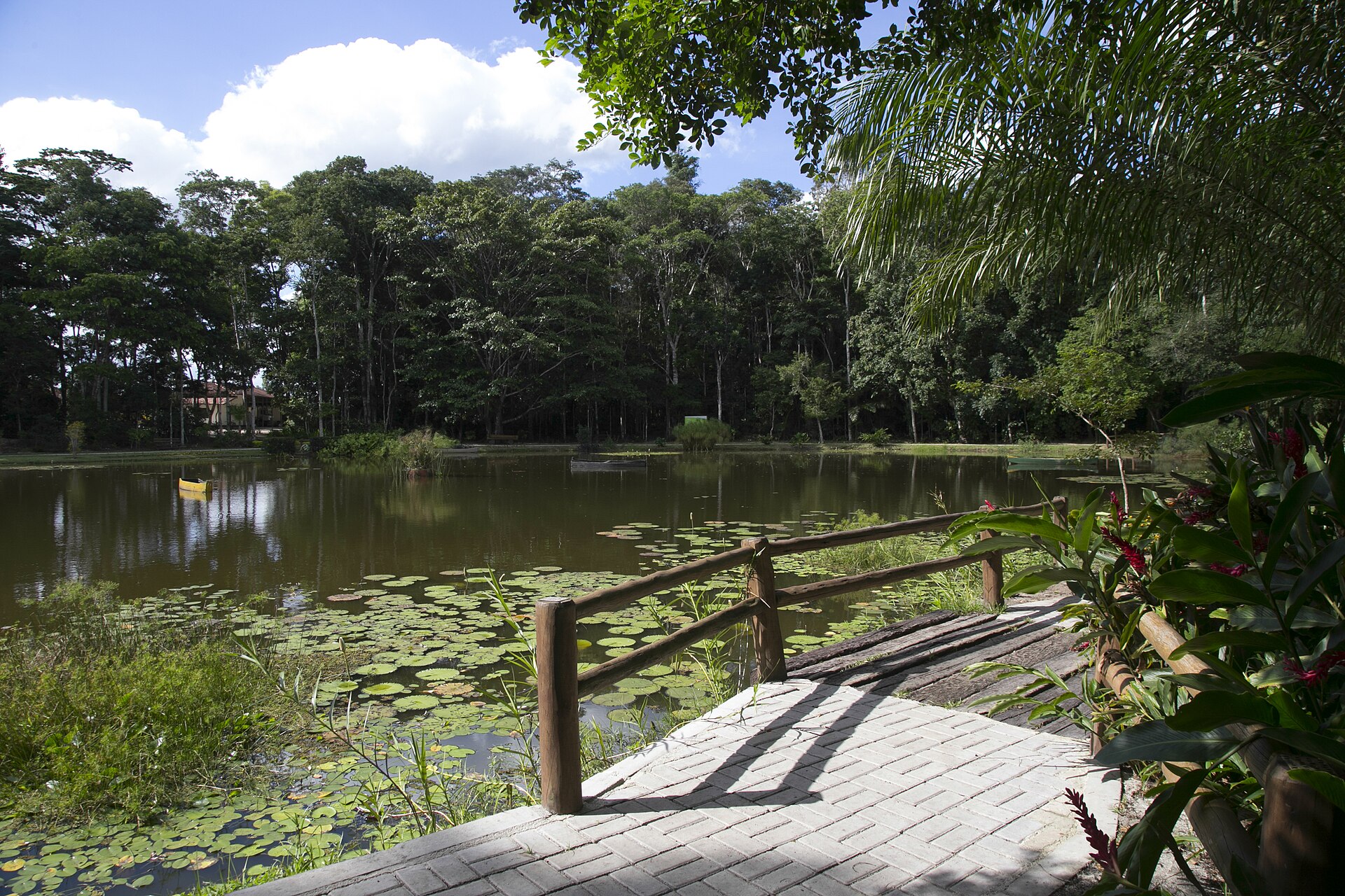 Imagem de referência de Reserva Natural de Linhares, descrito nos dados abertos como reserva natural em Linhares, Espírito Santo, Brasil