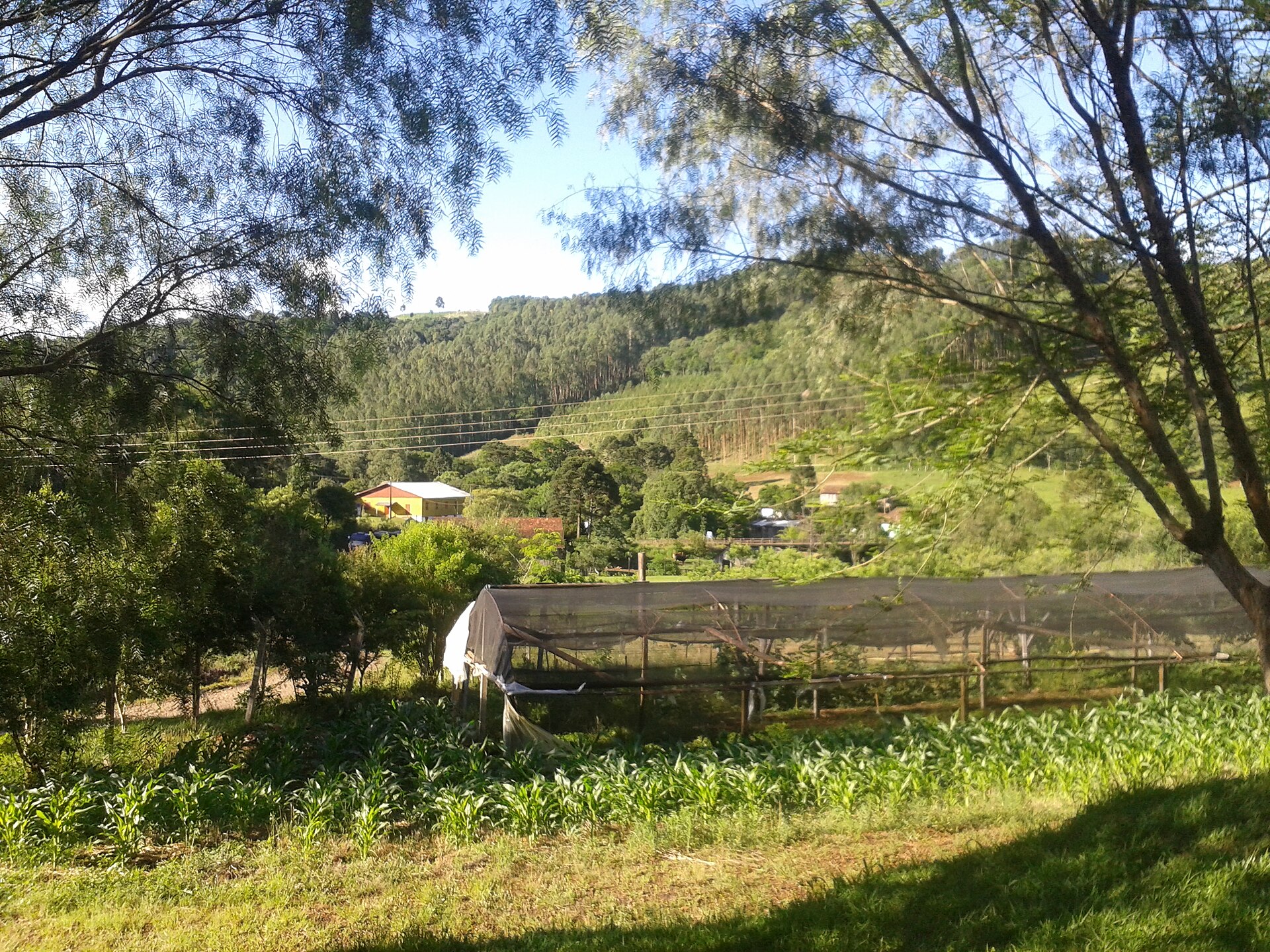 Imagem de referência de Serra Alta, descrito nos dados abertos como município brasileiro do estado de Santa Catarina