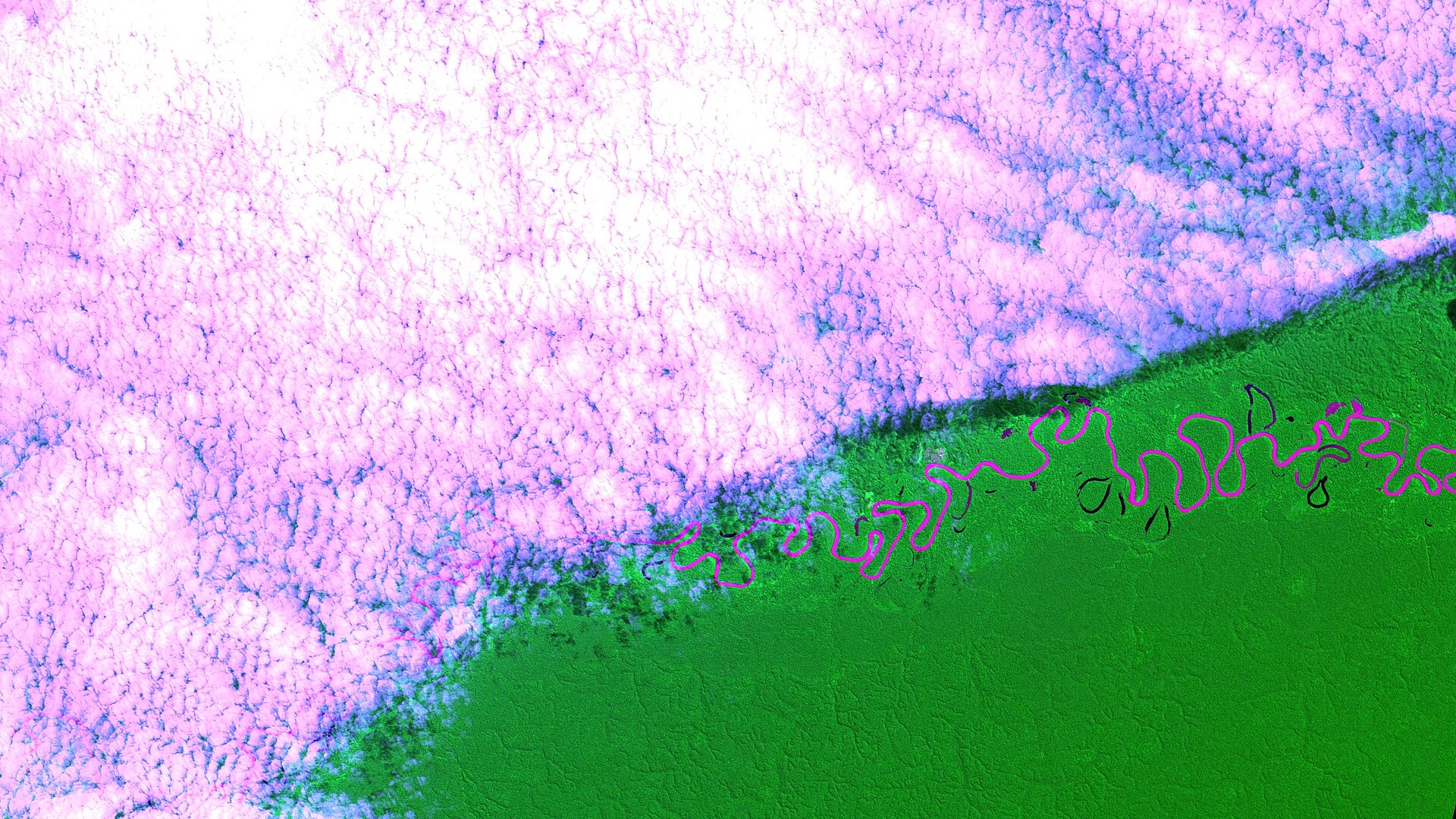 Imagem de referência de Pauini, descrito nos dados abertos como município brasileiro no estado do Amazonas