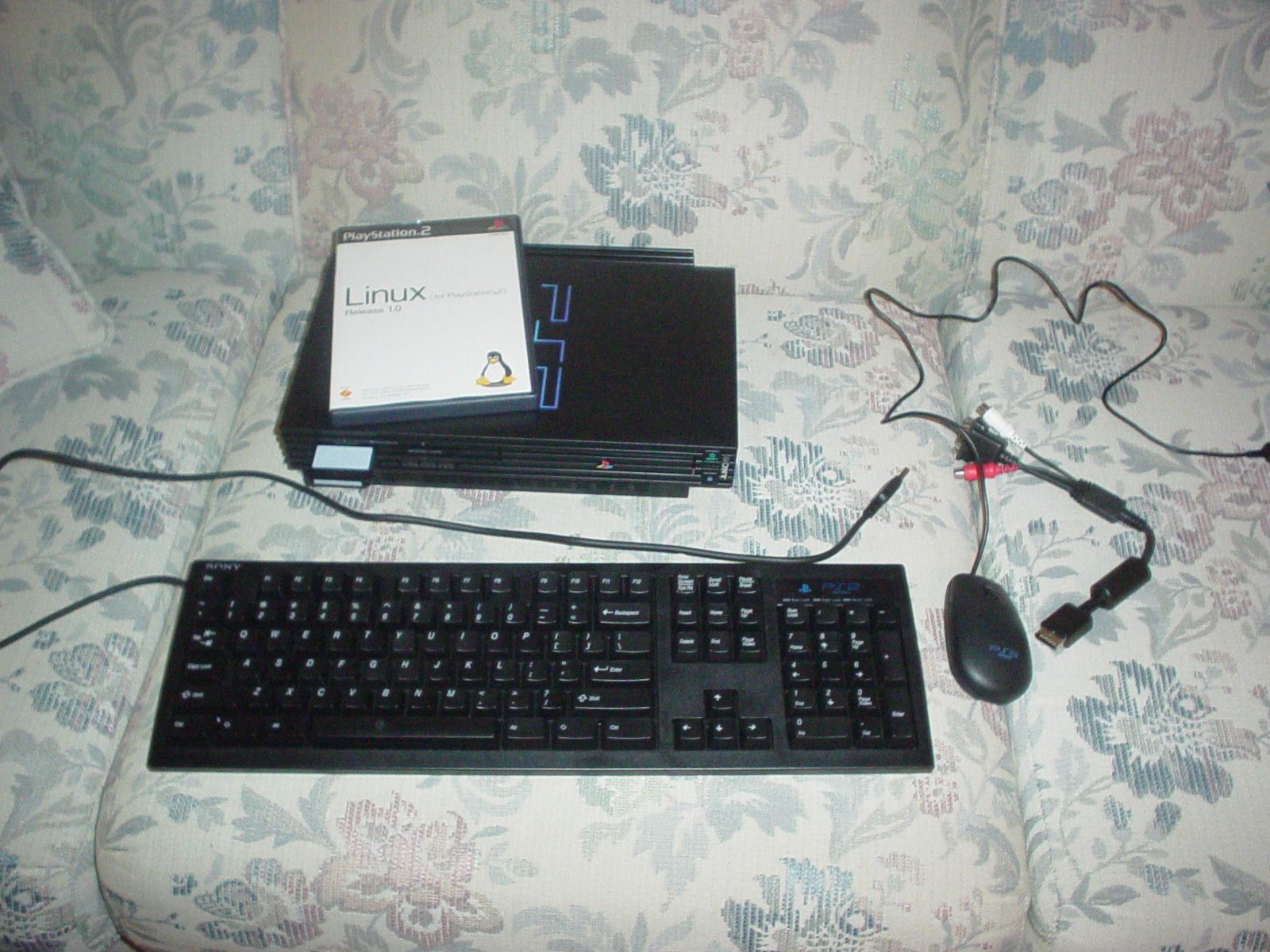 Imagem de referência relacionada a PlayOnLinux, item descrito como registro de referência sobre PlayOnLinux, organizado a partir de dados estruturados abertos