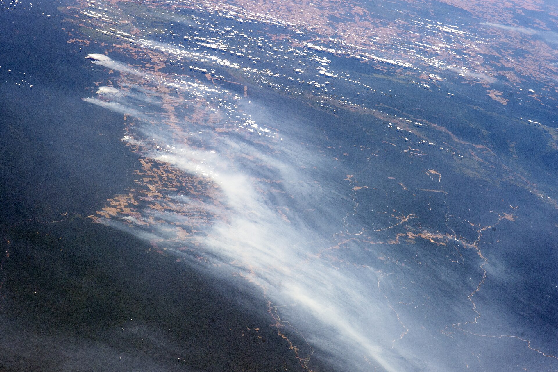 Imagem de referência de Floresta Nacional do Crepori, descrito nos dados abertos como unidade de conservação da natureza pertencente ao governo federal brasileiro