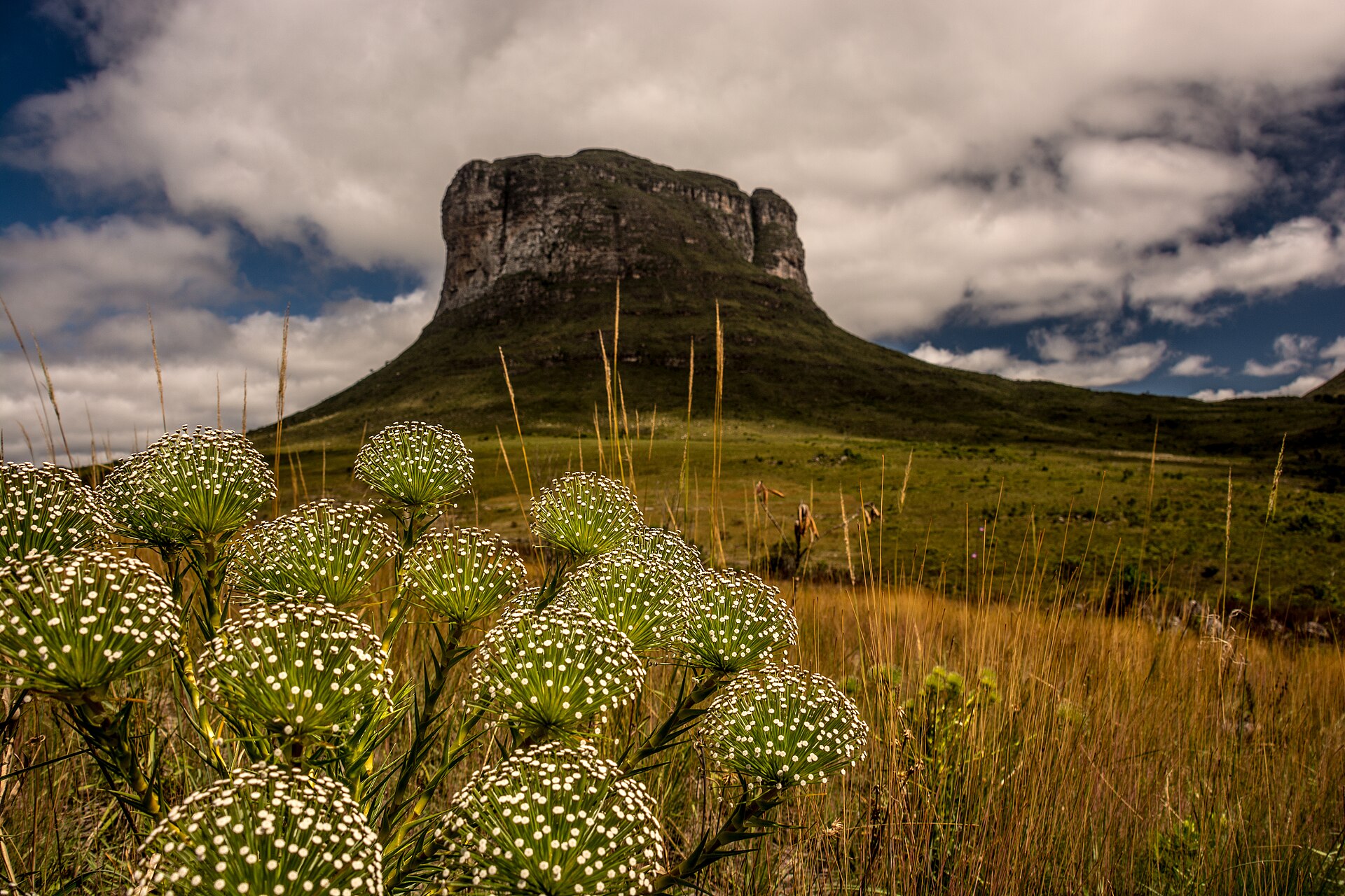 Imagem de referência relacionada a Parque Nacional da Chapada Diamantina, item descrito como parque nacional em Palmeiras, Mucugê, Lençóis, Ibicoara e Andaraí, Bahia