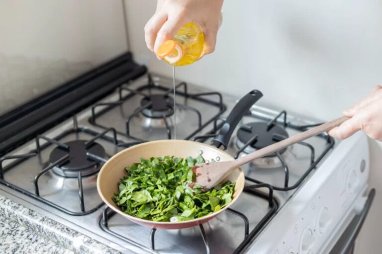 Consumir folha de ora-pro-nóbis virou tendência; veja benefícios e como incluir na alimentação