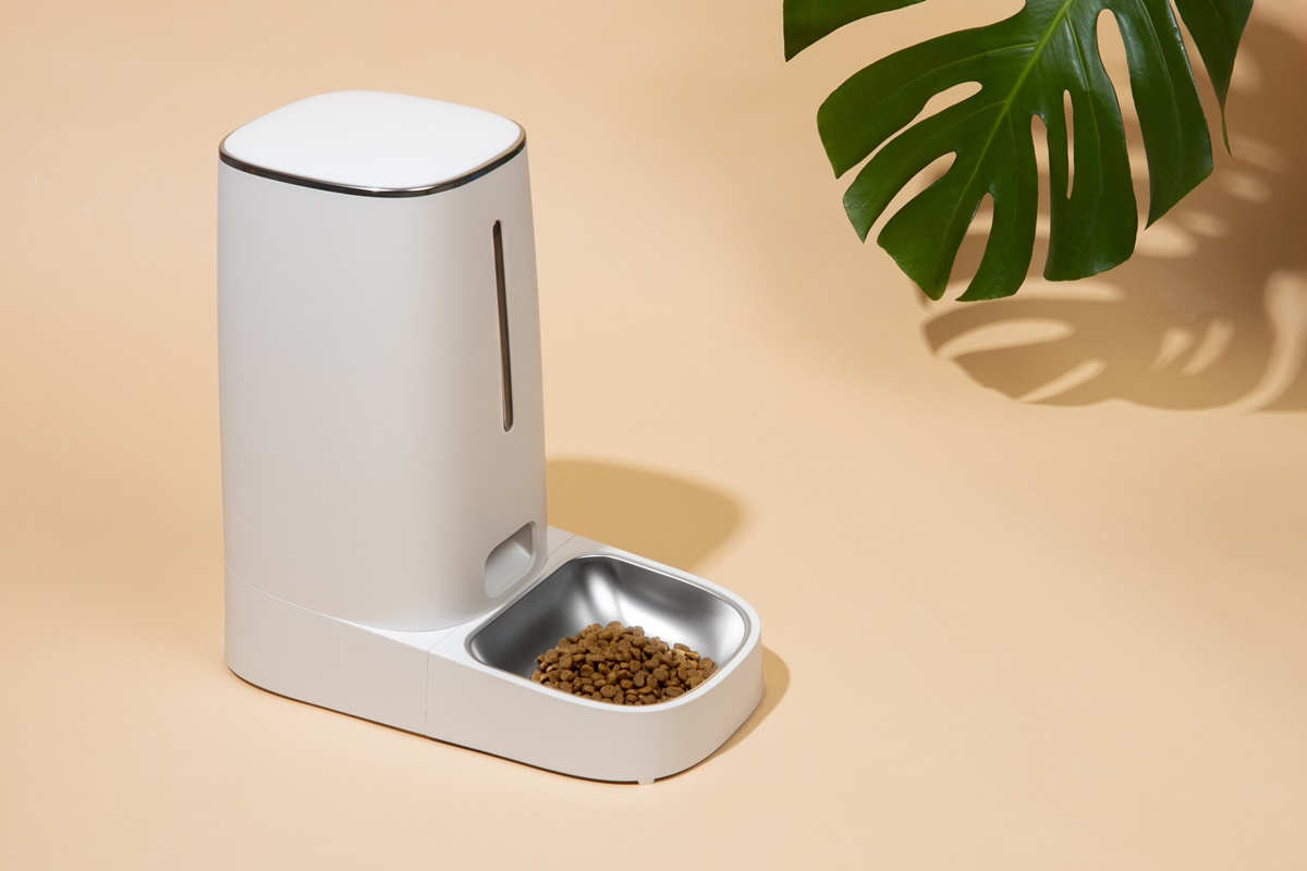 alimentador automático de cães e gatos