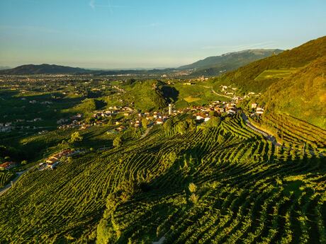Ruggeri revela a elegância e a longevidade do Prosecco de Valdobbiadene