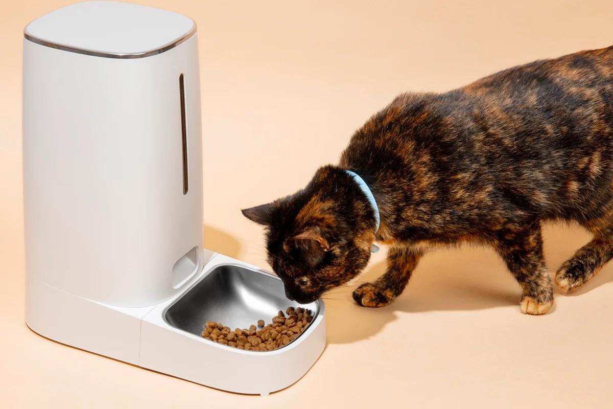 Alimentador automático exige adaptação para evitar estresse nos pets