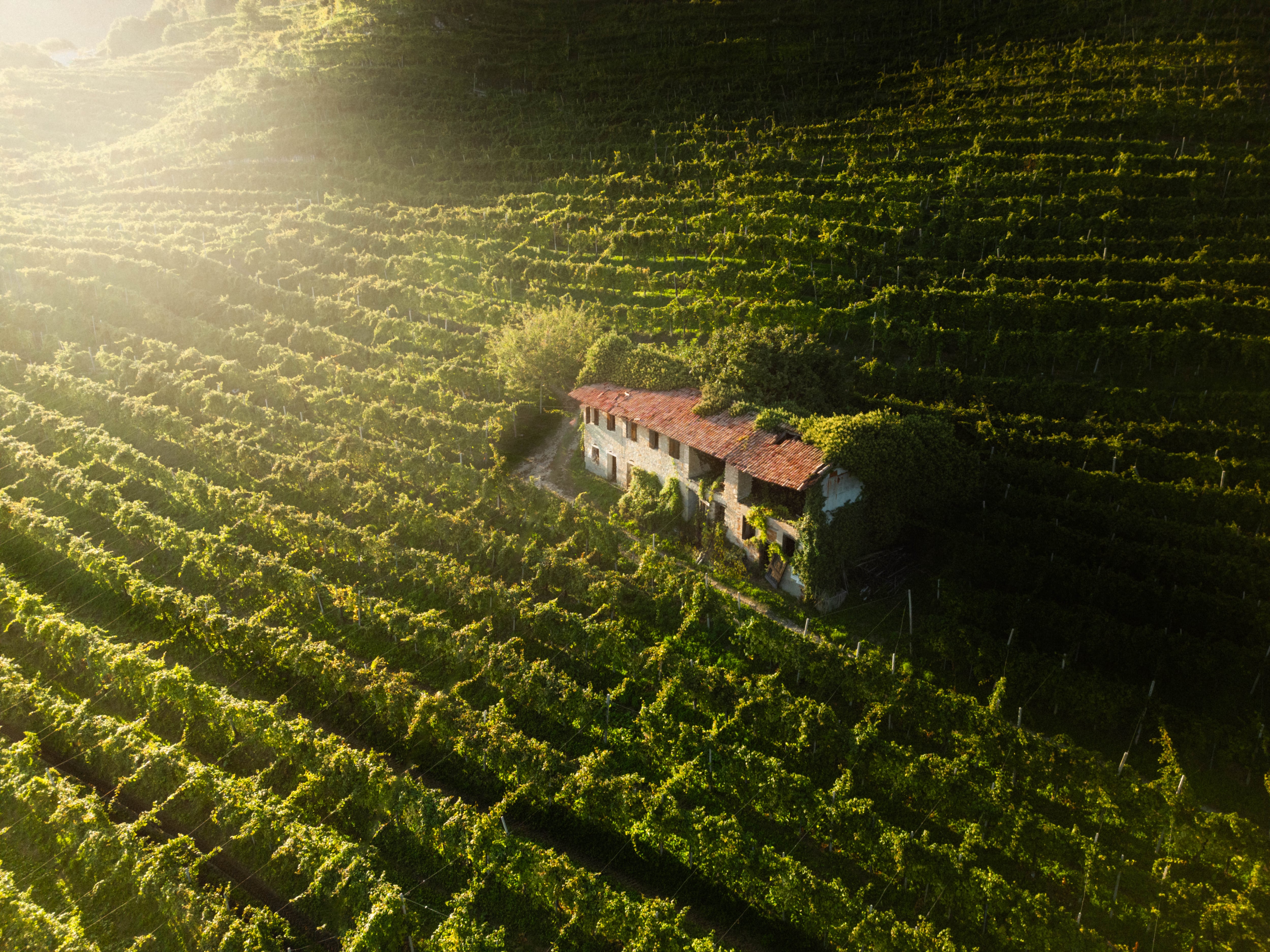 Ruggeri revela a elegância e a longevidade do Prosecco de Valdobbiadene