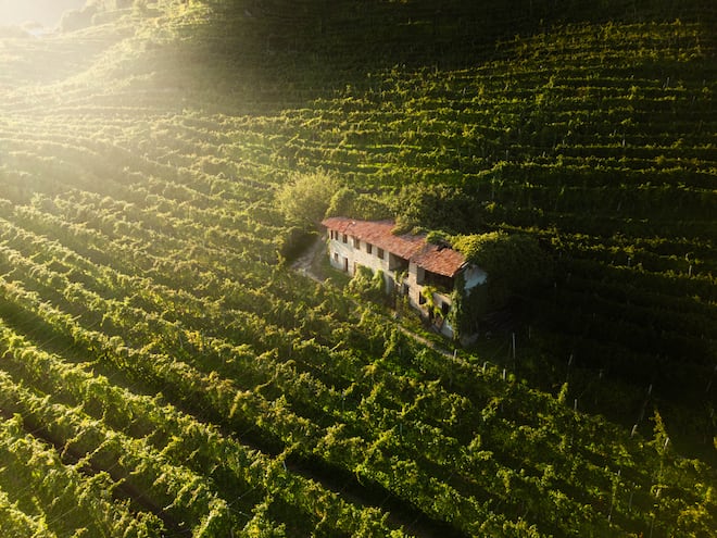 Ruggeri revela a elegância e a longevidade do Prosecco de Valdobbiadene