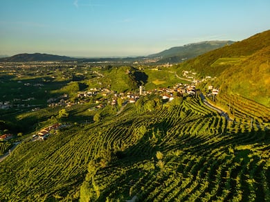 Ruggeri revela a elegância e a longevidade do Prosecco de Valdobbiadene